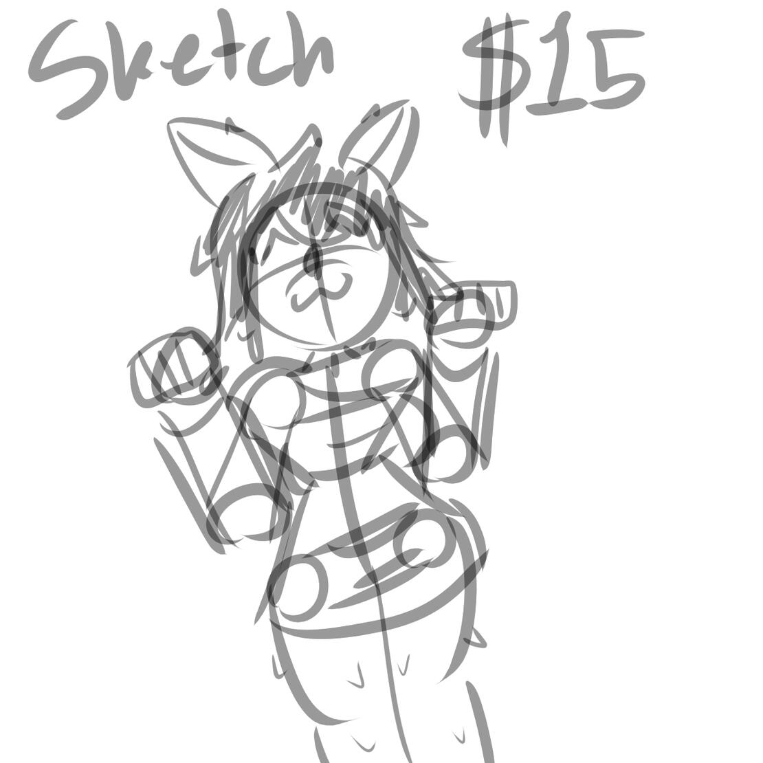 $15 Sketch